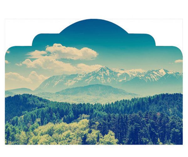 Yatak başlığı duvar kağıdı Doğal orman