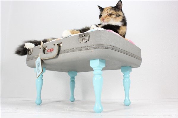 Eski Vintage Bavul ile Kedi Yatağı Yapımı